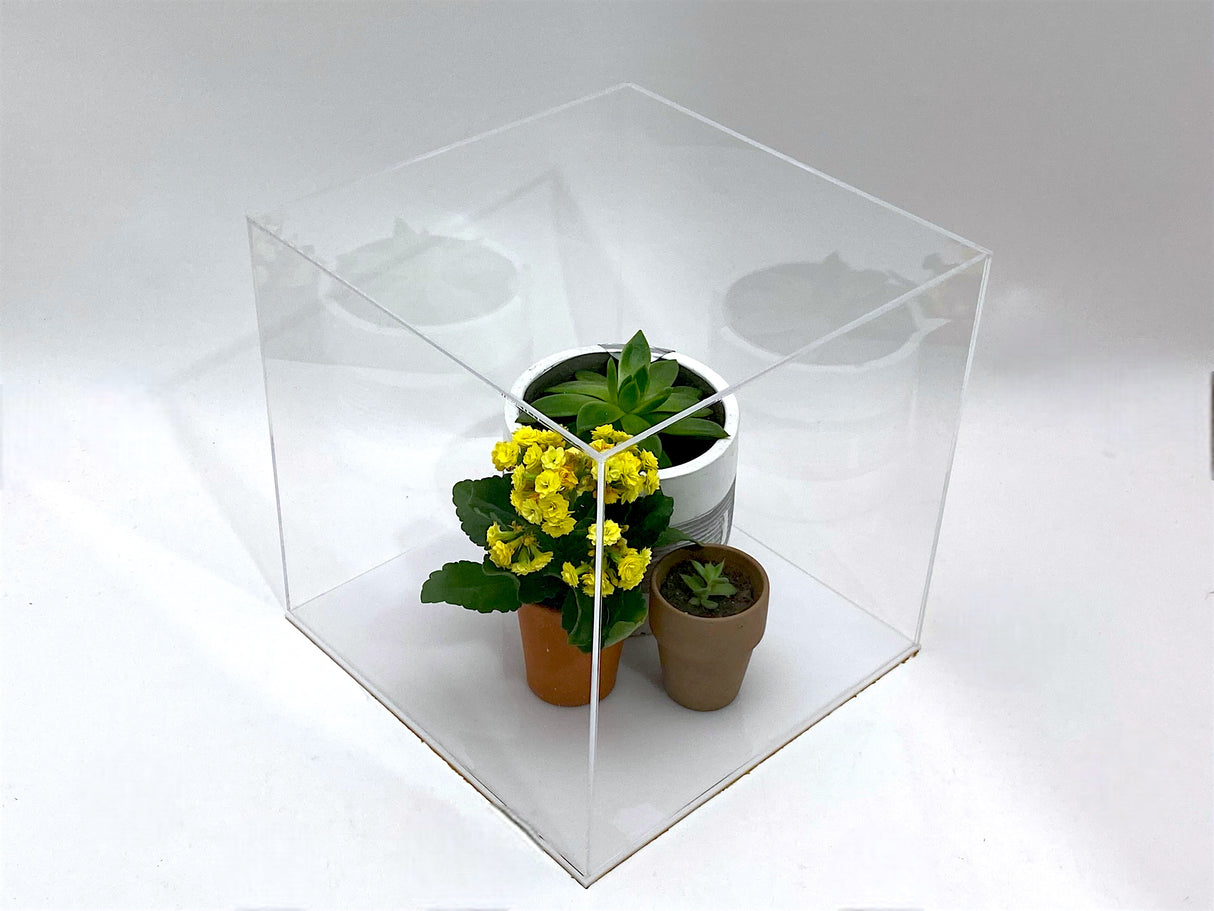 4" x 4" x 4" Clear Acrylic Display Case w/ White Acrylic Base 1/8" Thick