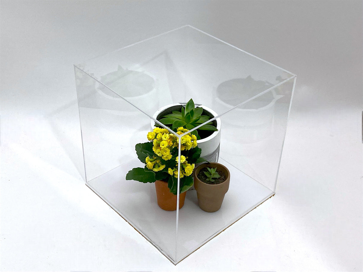 6" x 6" x 6" Clear Acrylic Display Case w/ White Acrylic Base 1/8" Thick