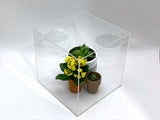 16" x 16" x 16" Clear Acrylic Display Case w/ White Acrylic Base 1/8" Thick