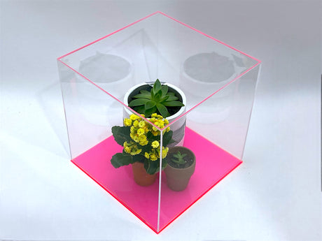 10" x 10" x 10" Clear Acrylic Display Case W/ Fluorescent Pink Acrylic Base