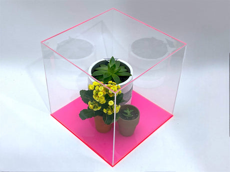 6" x 6" x 6" Clear Acrylic Display Case W/ Fluorescent Pink Acrylic Base