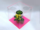 8" x 12" x 12" Clear Acrylic Display Case W/ Fluorescent Pink Acrylic Base