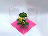 18" x 12" x 12" Clear Acrylic Display Case W/ Fluorescent Pink Acrylic Base