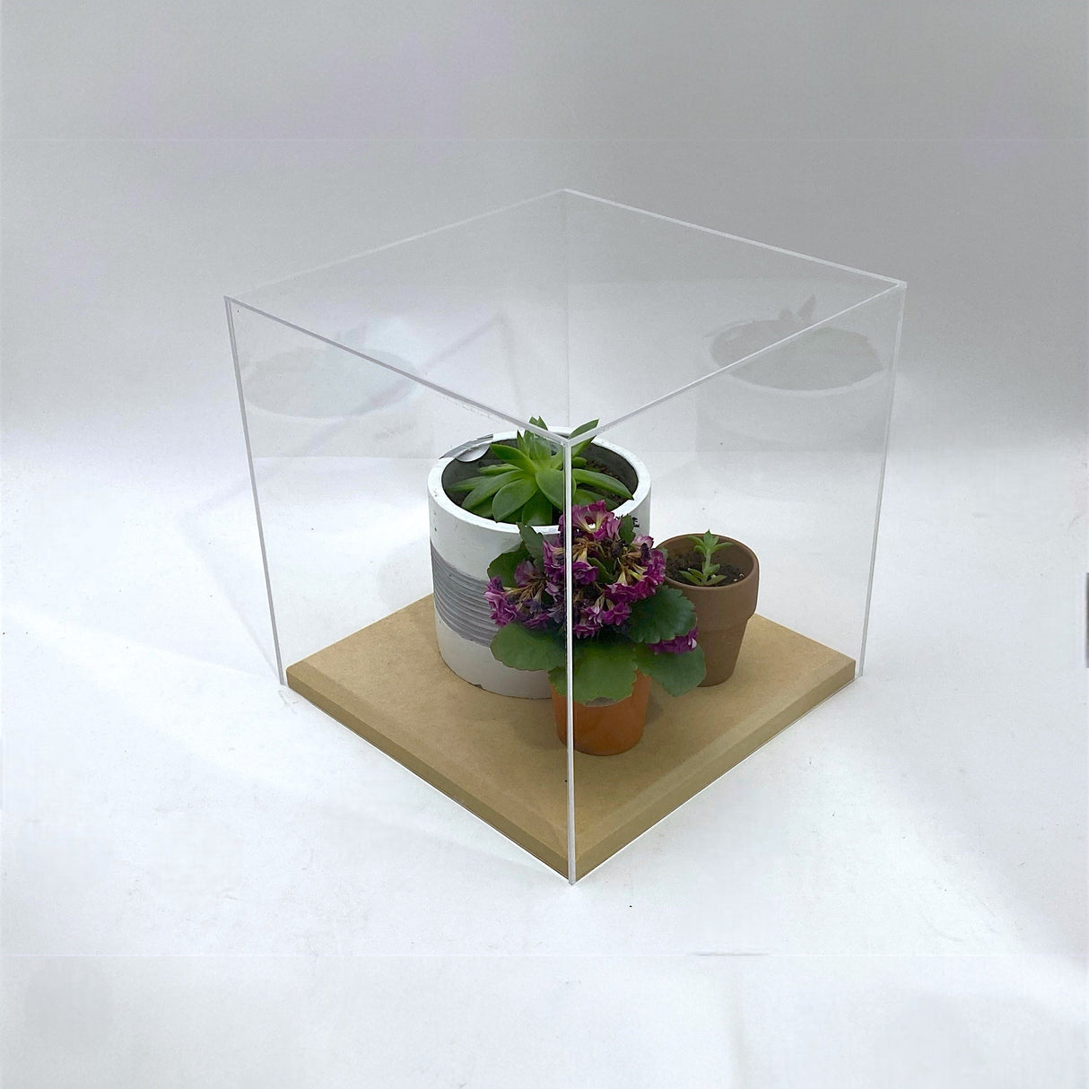 12" x 8" x 8" Clear Acrylic Display Case W/ Wooden Base