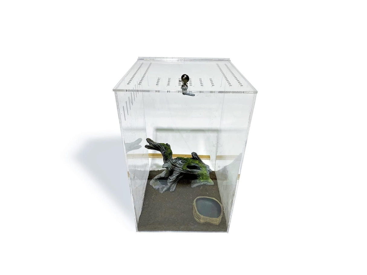 Extra Large Clear Acrylic Lizard and Spider Cage