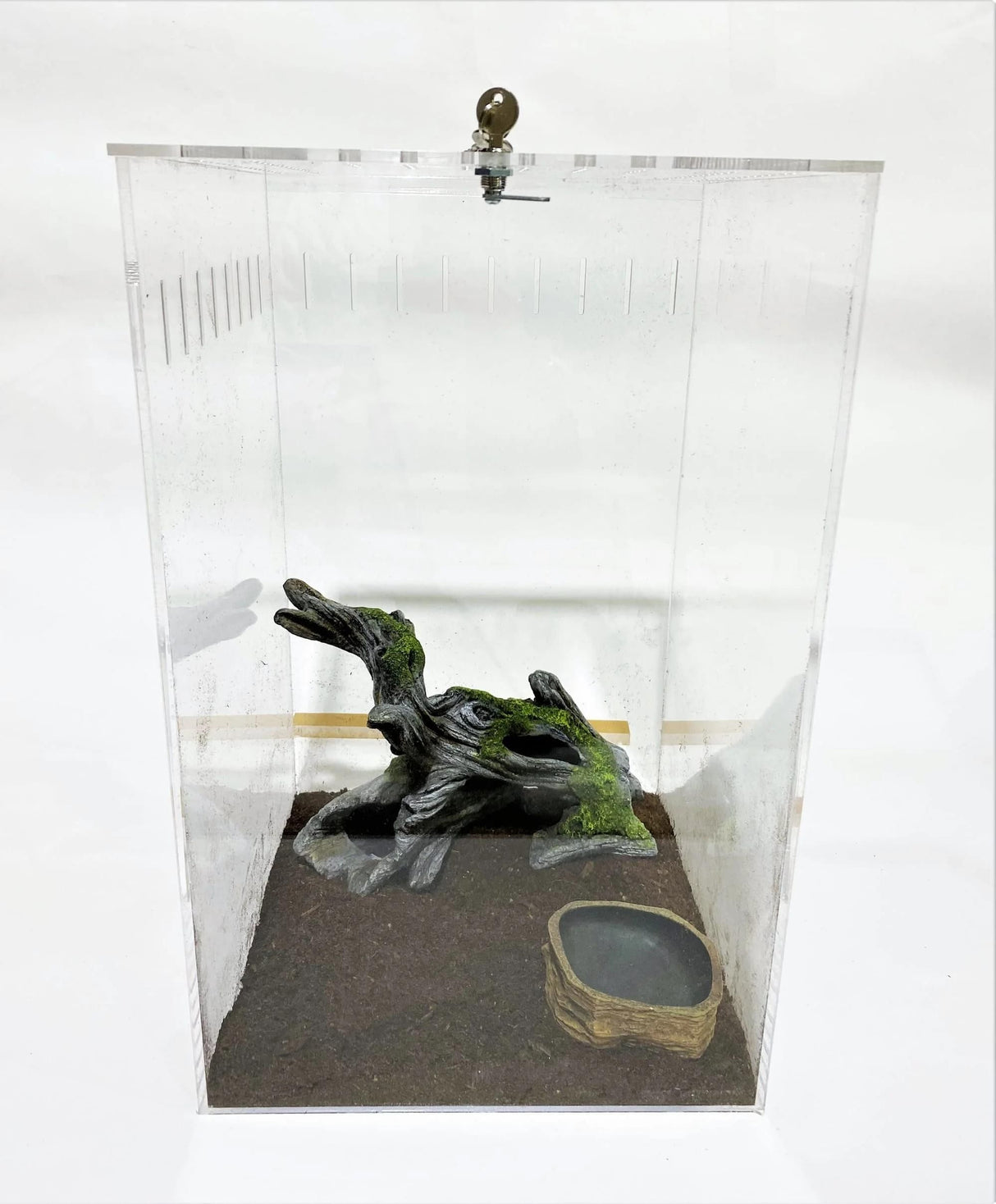 Extra Large Clear Acrylic Lizard and Spider Cage