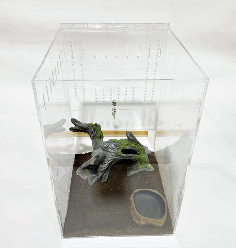 Extra Large Clear Acrylic Lizard and Spider Cage