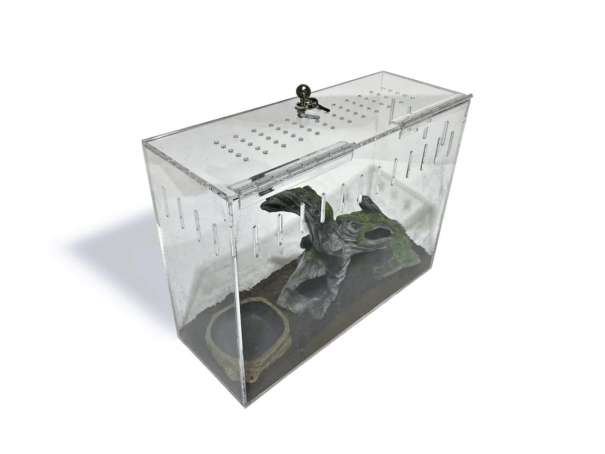 Large Clear Acrylic Lizard and Spider Cage