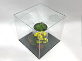 4" x 4" x 4" Clear Acrylic Display Case w/ Black Base