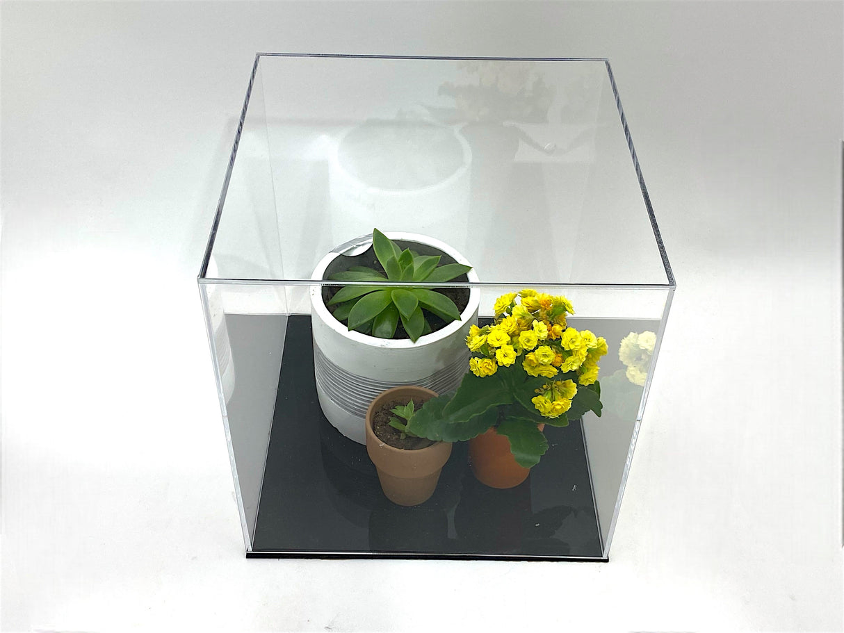 12" x 8" x 8" Clear Acrylic Display Case w/ Black Base