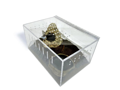 Small Clear Acrylic Lizard and Spider Cage